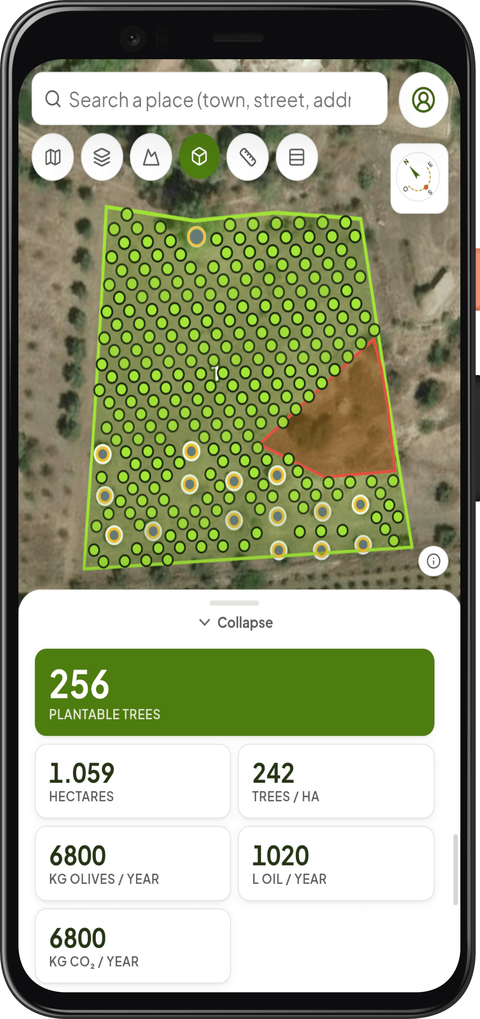 Progetto dell'impianto con alberi e filari calcolati da Forest Maker
