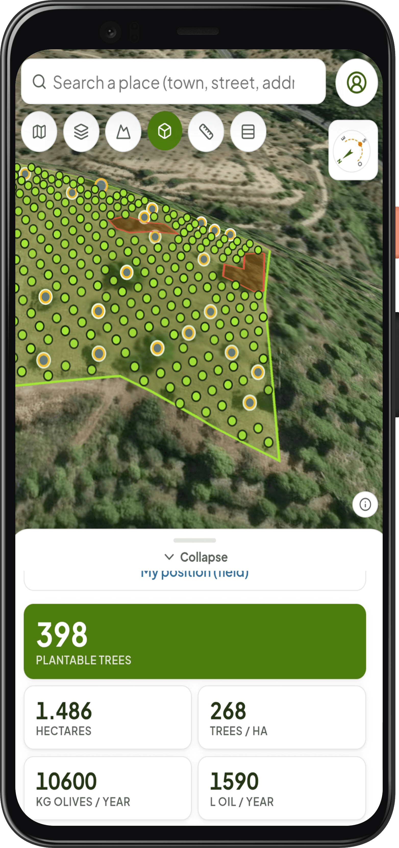 Vista 3D del terreno progettato con alberi e stime di resa in Forest Maker